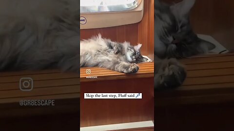 Boat kitty snoozing away