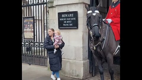 Horse yorns shows its teeth #horseguardsparade