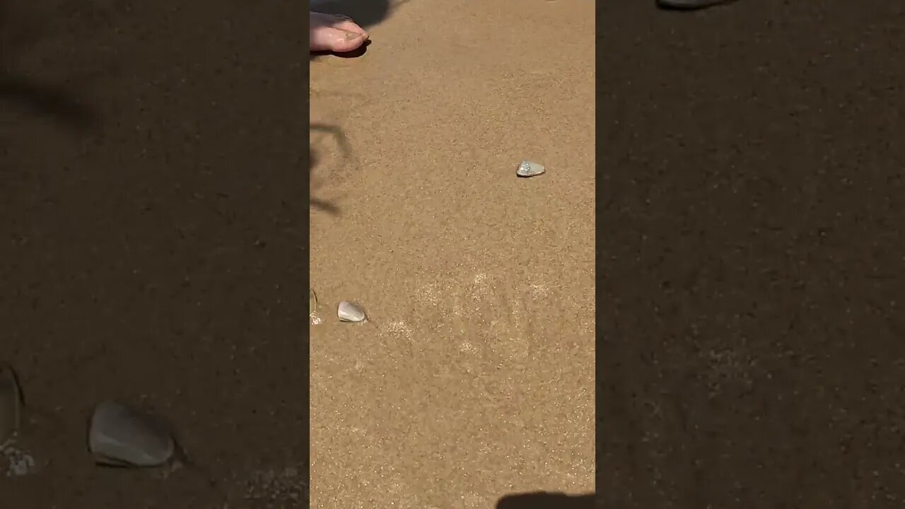 The MATRIX Has A PORTAL!!! #shorts #matrix #beach #portal #australia #travel #sea #creatures