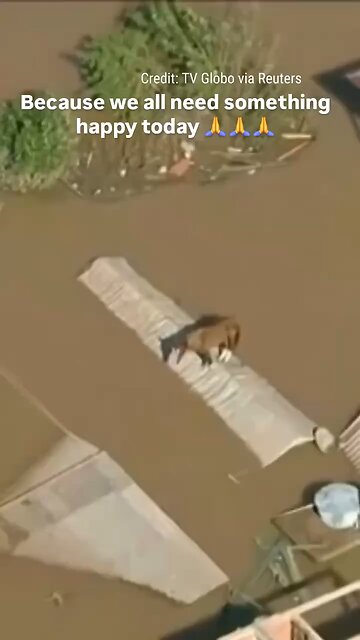 Because We All Need Something Happy Today🥲🥹🥰