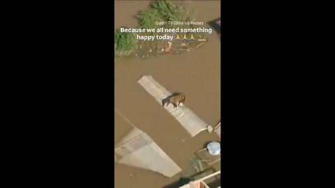 Because We All Need Something Happy Today🥲🥹🥰