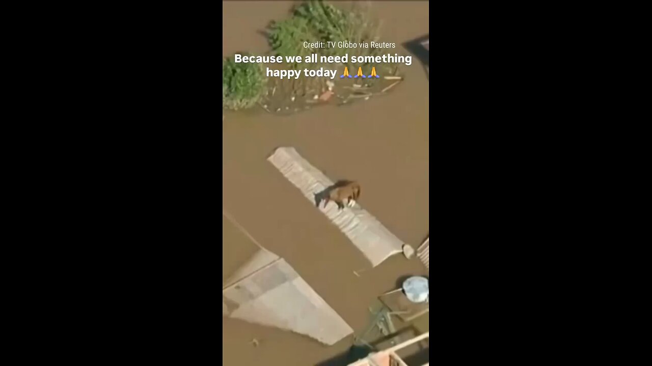 Because We All Need Something Happy Today🥲🥹🥰