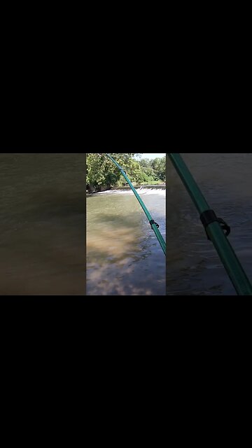 Lowhead dam need some SquareBilly action!