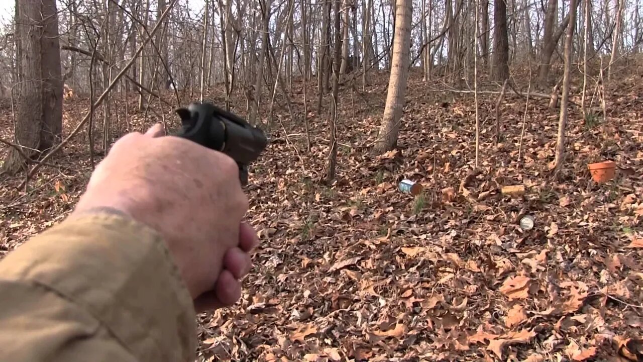 Smith & Wesson Governor Close-up