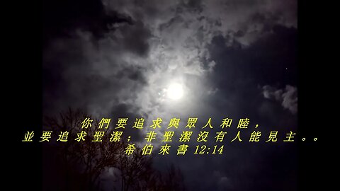 今天的每日聖經經文Jīntiān de měi rì shèngjīng jīng wén