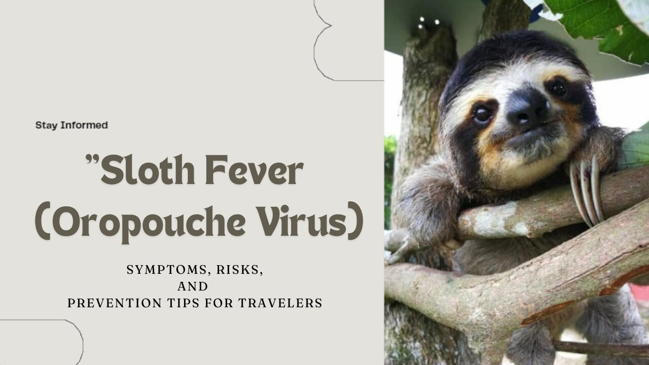 "What Is Sloth Fever? Understanding the Emerging Oropouche Virus Disease"