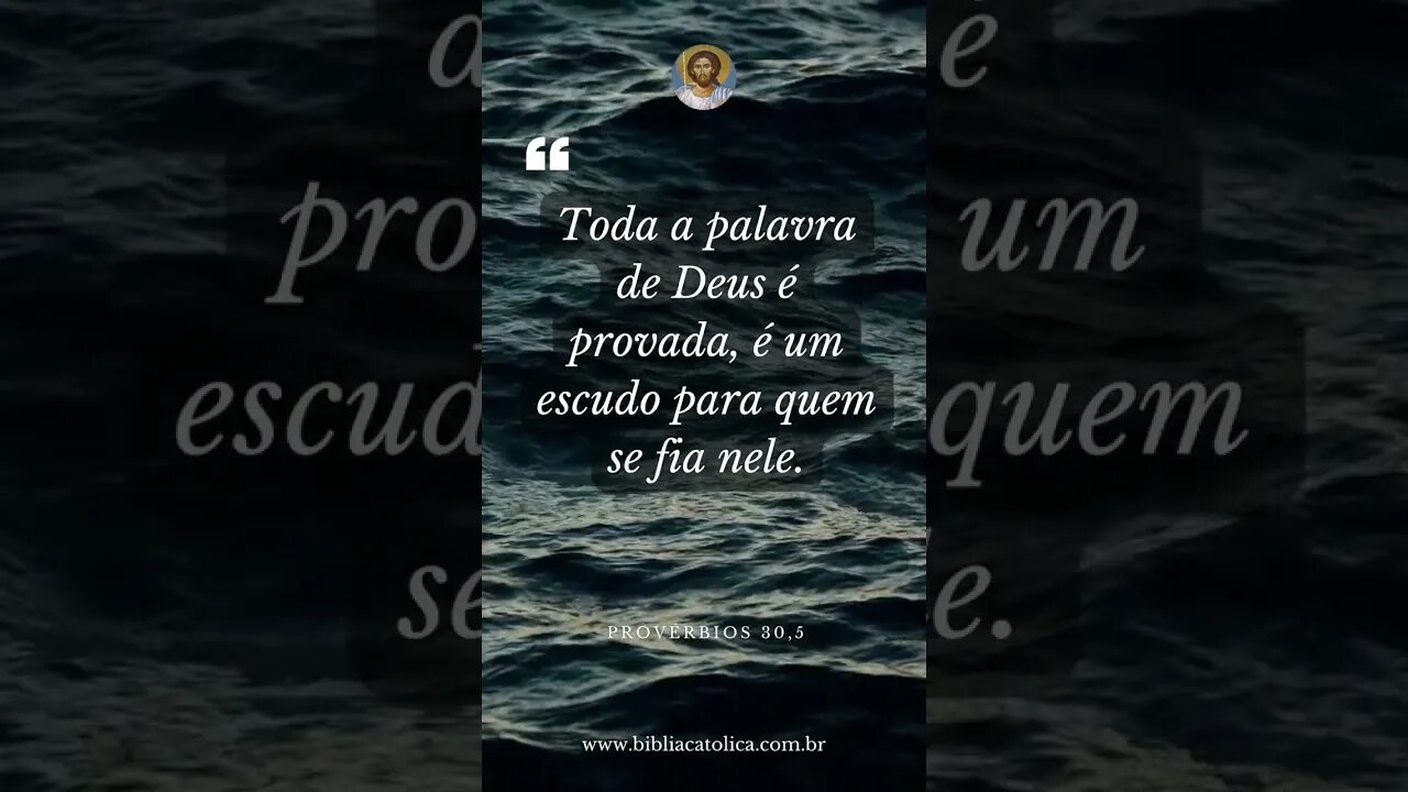 Provérbios 30,5 - Toda a palavra de Deus é provada, é um escudo para quem se fia nele.