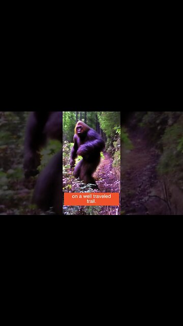 What Would You Do? #shorts