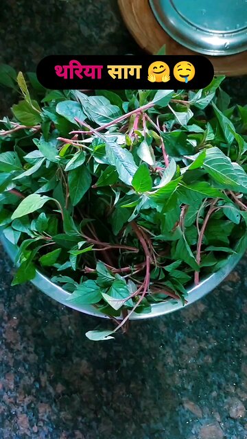 Indian green vegetable