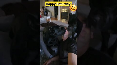 Saturday Morning Puppy Wake Up Call