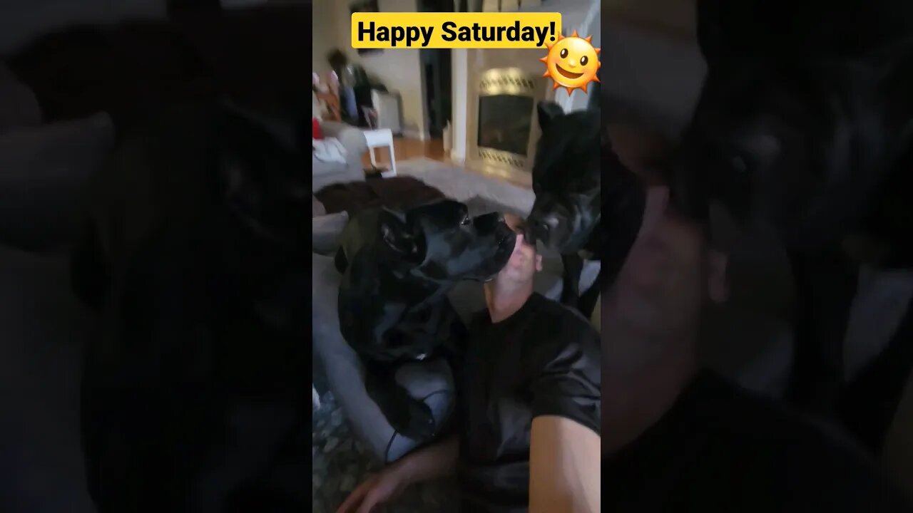 Saturday Morning Puppy Wake Up Call