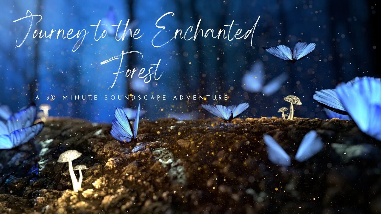 Journey to the Enchanted Forest: A 30 Minute Soundscape Adventure