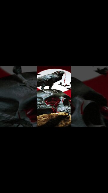 Lil Wayne - Call Me Nobody (Verse) (2021) (432hz)