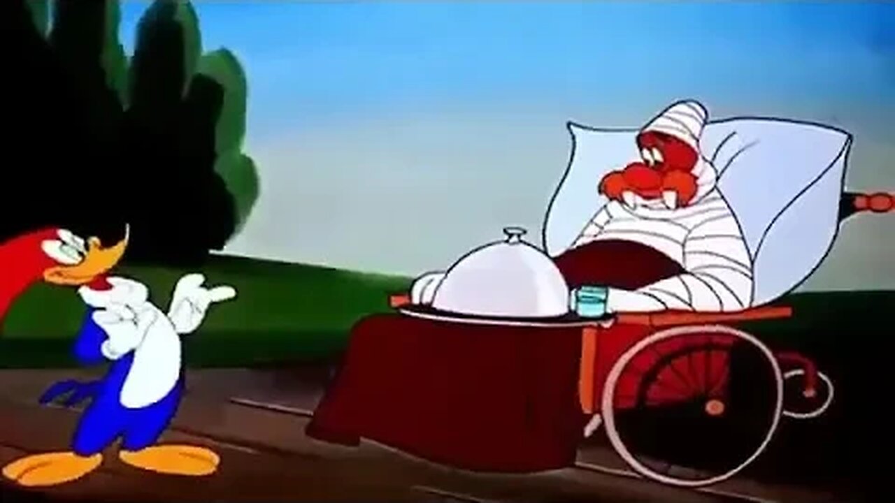 Pica pau em Português #1 Compilação de 1 hora Desenhos Animados