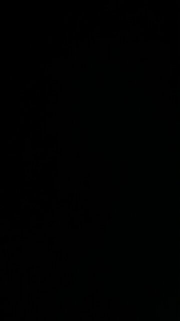 Bogus felony charges