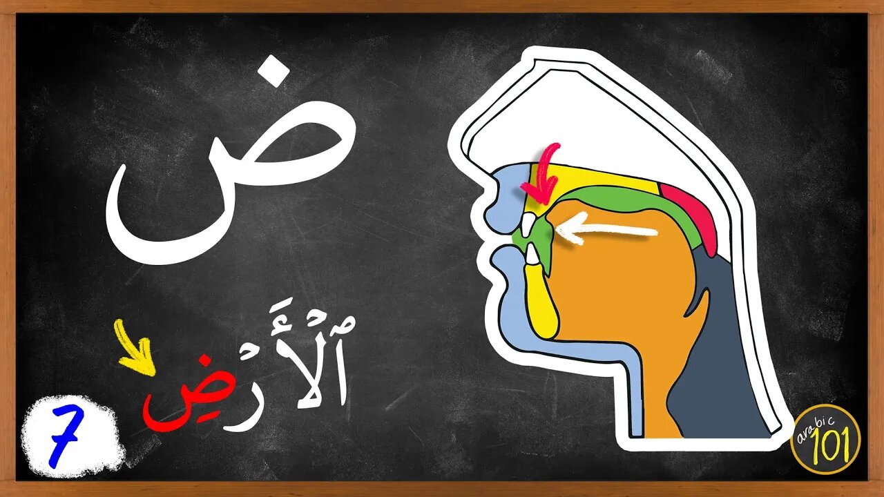 With THIS method, ANYONE can master ض | Makharij & Sifaat Lesson 7 | Arabic101