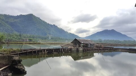 A Beautiful Morning Walk along Brgy. Mamacao | Swedish Filipina Couple | A Better Life PH