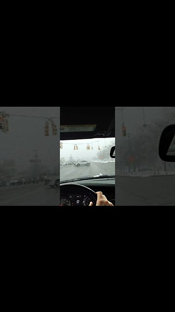 when your cat doesn't want to go for a car ride