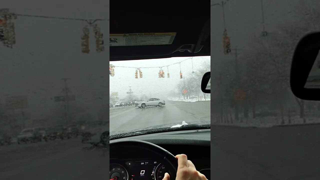 when your cat doesn't want to go for a car ride