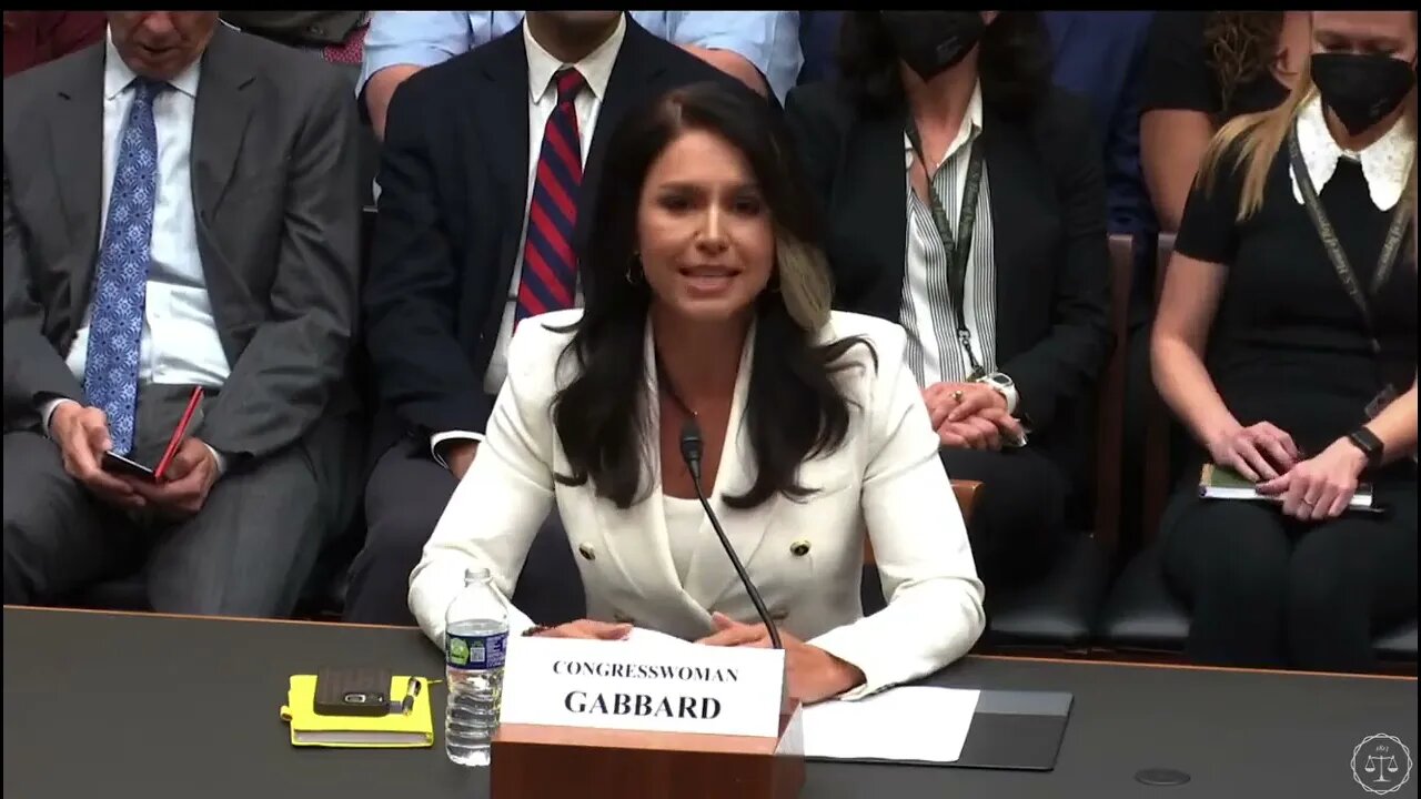 Tulsi Gabbard Explains The Importance Of Free Speech