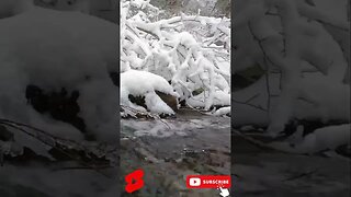 Relaxing winter river #shorts