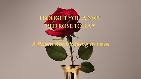 I Bought You a Nice Red Rose Today