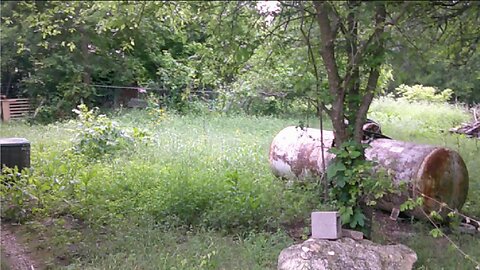 Watch as overgrown yard restored