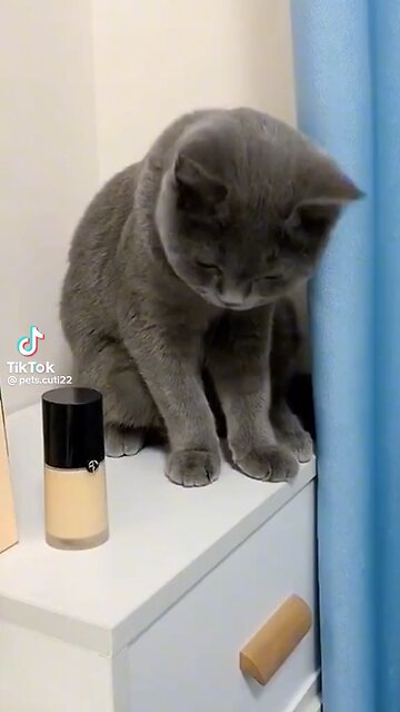 Tiktok video - Funny