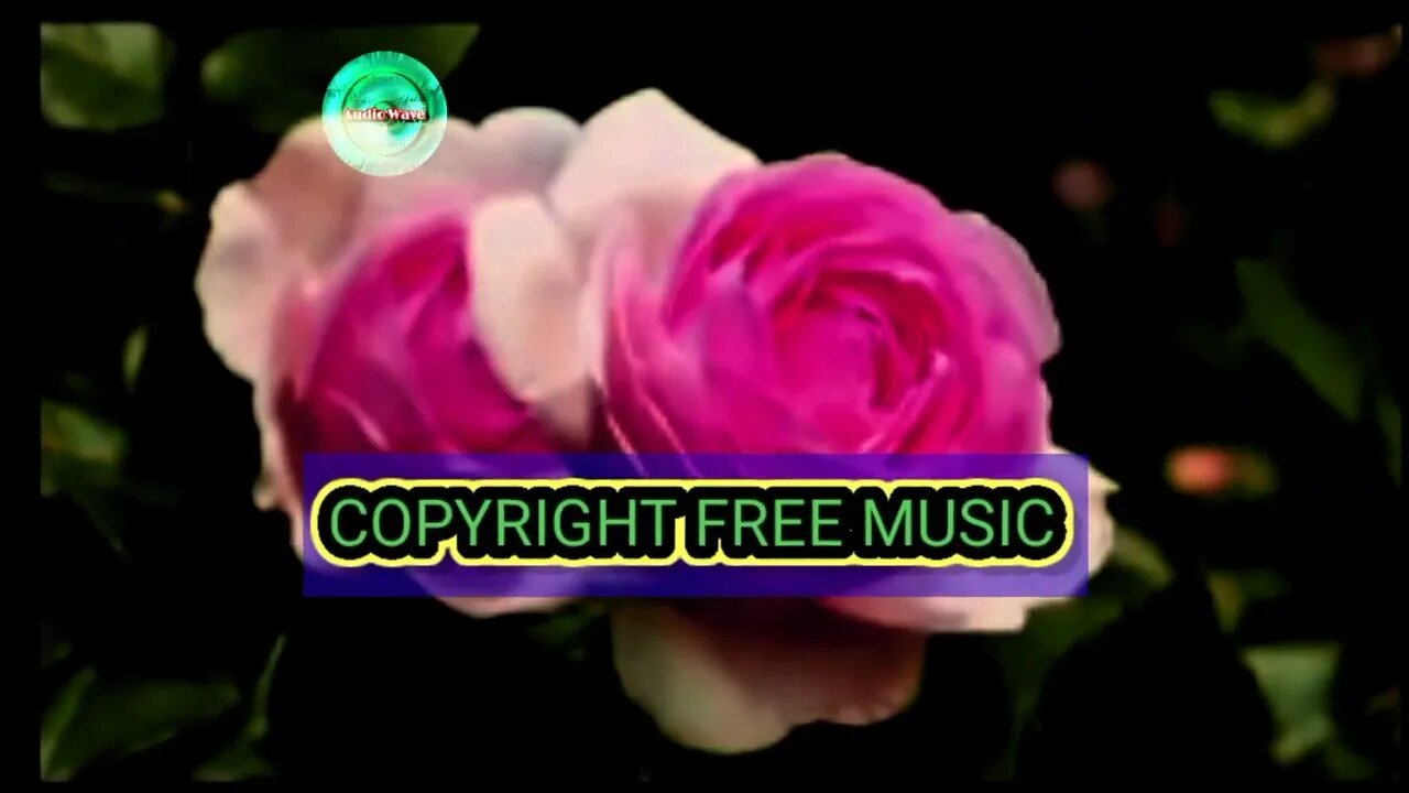 ll copyright free Indian instrumental rudraveena music for background music for content creator ll