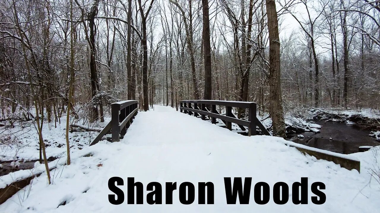 Winter Runderland at Sharon Woods