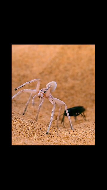 News cartoon trump News today News