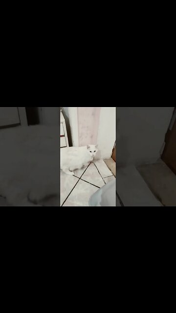 engenharia reversa do algoritmo vídeo #2025