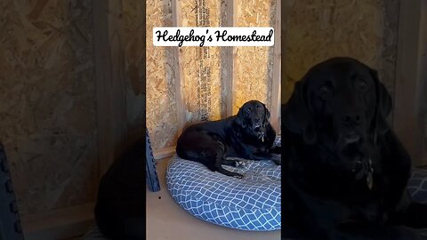 Got our range in dishwasher