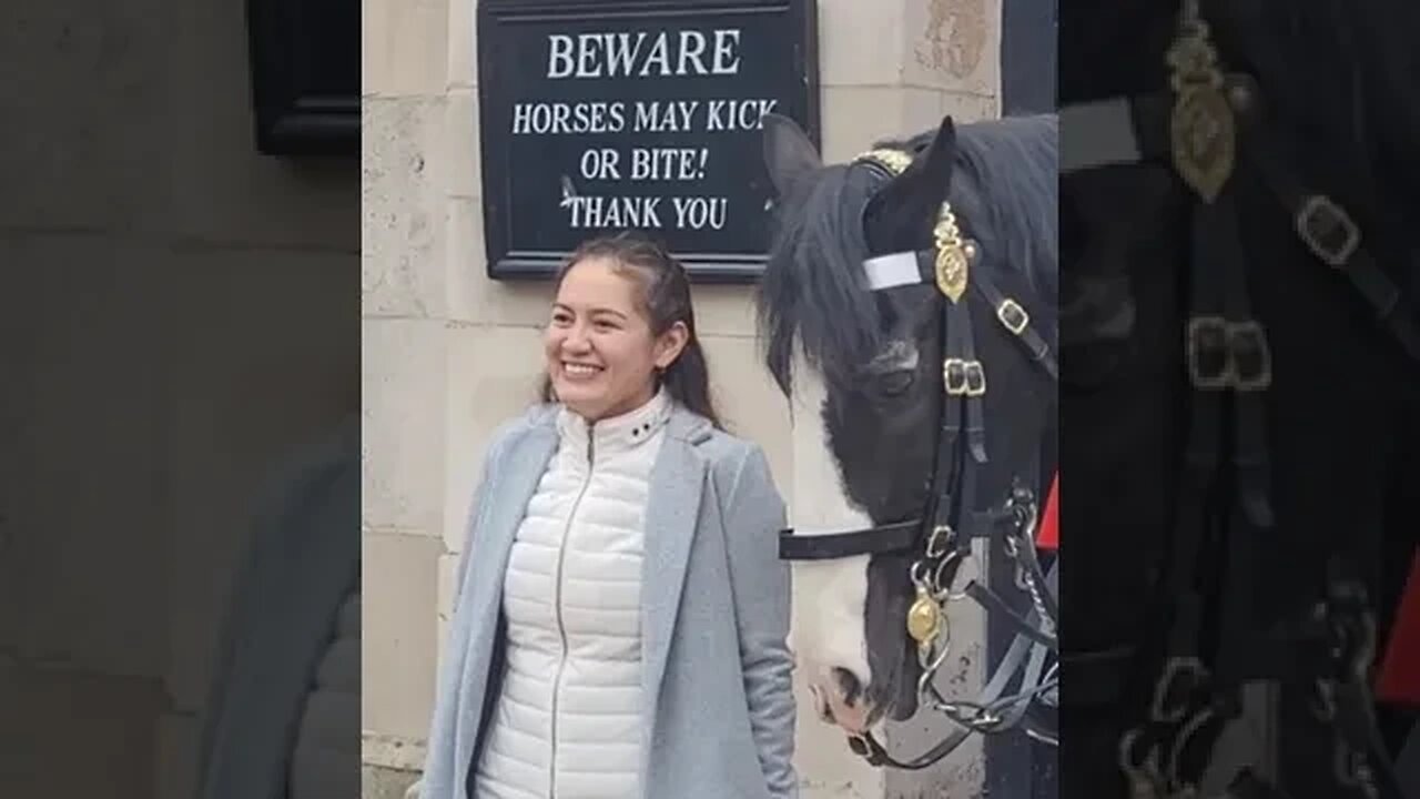 Wide eyed over horse #horseguardsparade