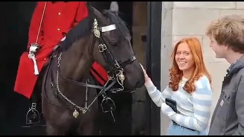 please let go of the Reins #horseguardsparade