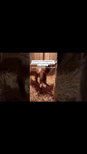 It's Starting to Look Like an Addiction #shorts