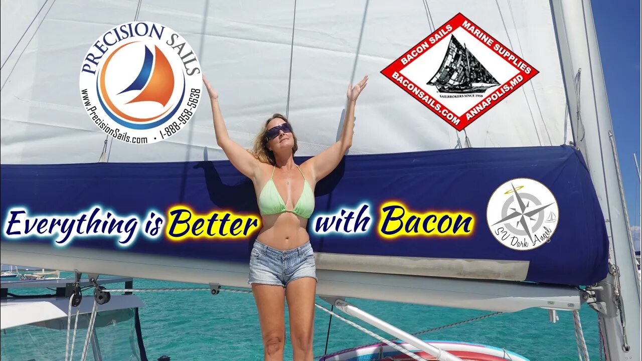 SDA73 Everything is Better with Bacon