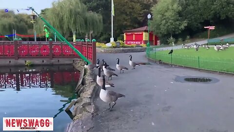 Old Film Clip - A walk around Peasholm Park in Scarborough