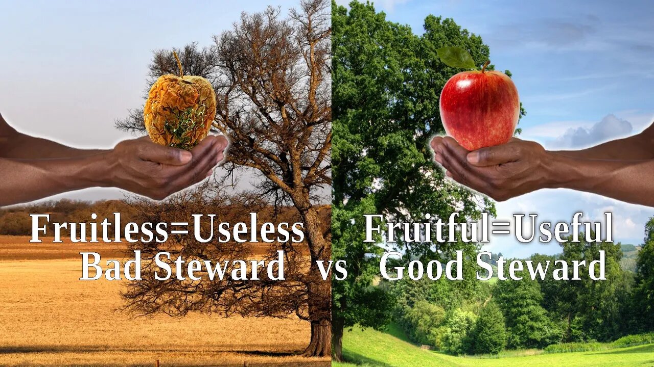 Stewardship: Have you been a good steward?