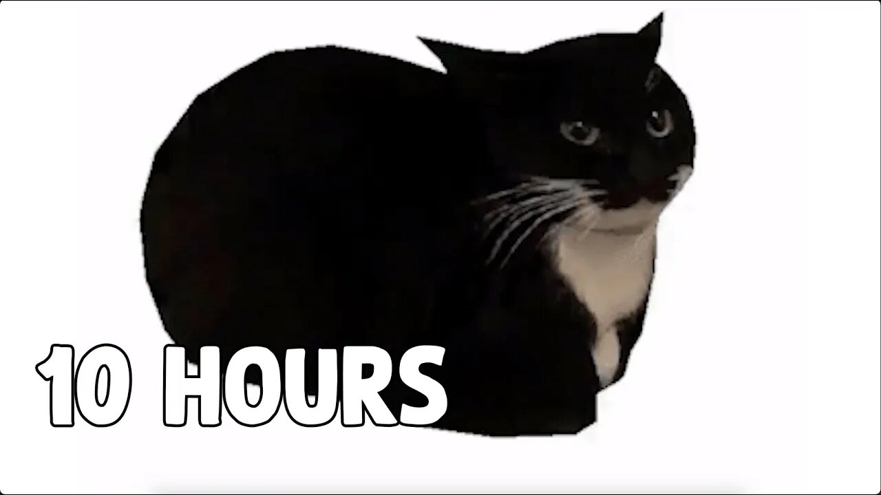 Spinning 3D Cat [10 HOURS]