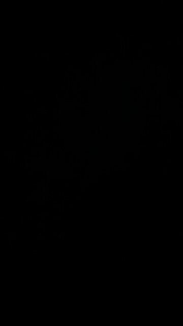 Rumble Algorithm changed? Sudden drop in views on all my channels!