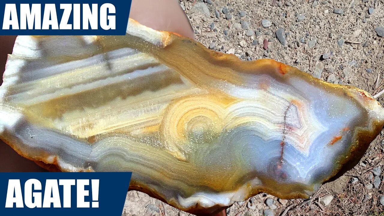 My most beautiful agate yet - rockhounding in New Zealand (cutting video)