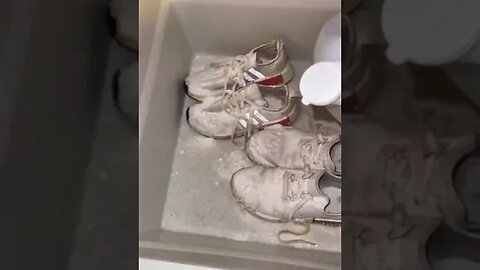 Shoes Cleaning Tiktok jibbysmommy