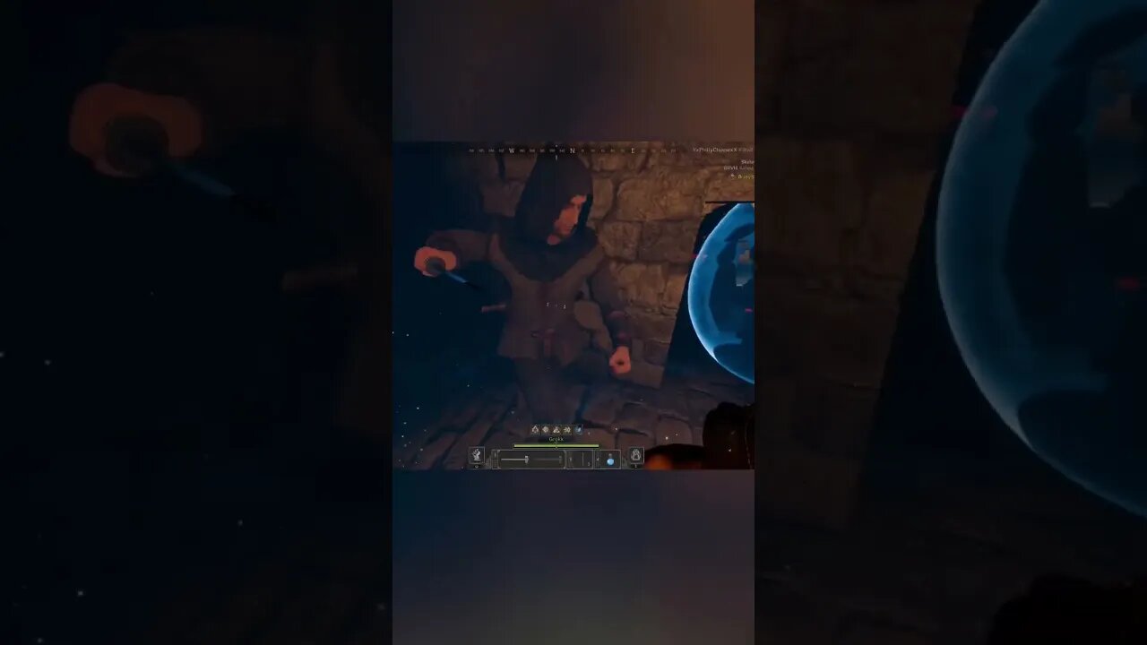 I call it the “rogue-swatter”