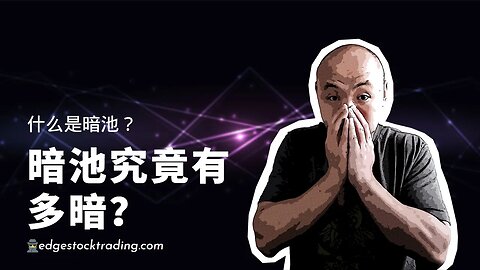 🕵🏻‍♂️什么是暗池？|如何利用暗池信息帮助日交易|暗盘策略|怎么使用Tradytics的暗盘界面？|暗池交易策略