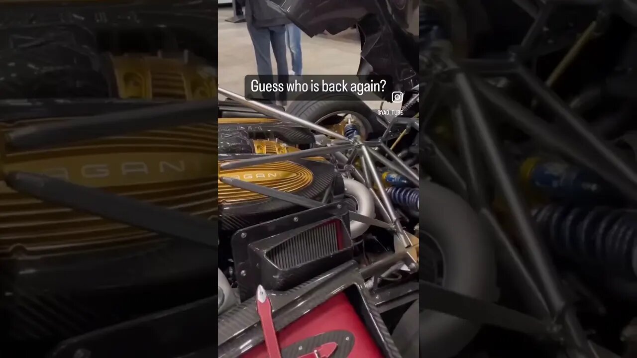 Unstoppable 🥶 #tatebrothers #andrewtate #tristiantate #freetopg #sonnyfaz #shneako