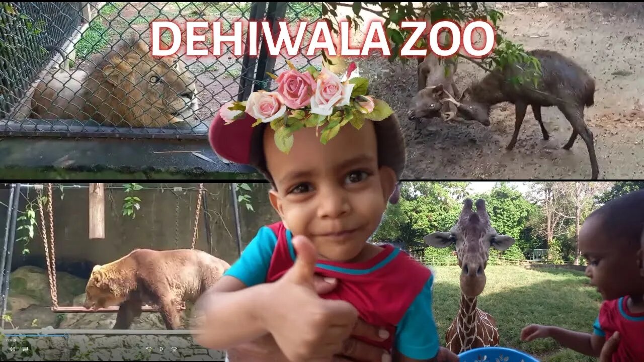 Mario visiting & feeding animals at Dehiwala Zoo Sri Lanka.