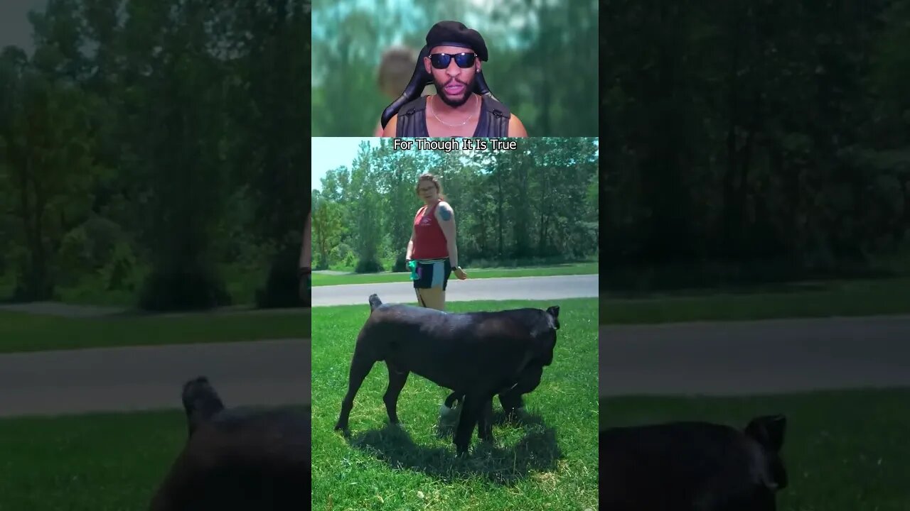 The Most SAVAGE Dogs On The Planet! @WakandanSavage #shorts #dog #funny #viral