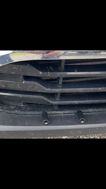 Deer Whistle One Month Later