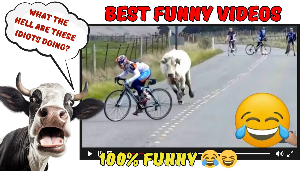 🤣 Best Funny Videos - TRY NOT TO LAUGH 😂😆 Memes